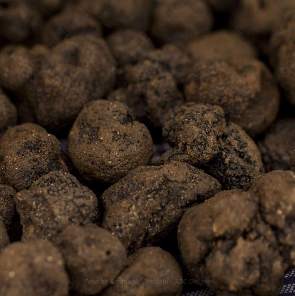 tartufo nero di Norcia