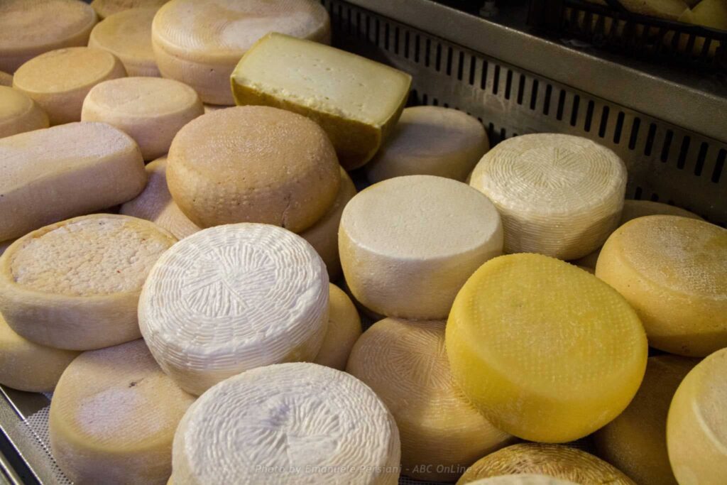 pecorino fresco norcia pecorino aromatizzato misto formaggi vari norcia